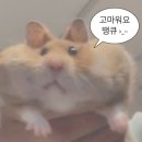대구 북구 맛집 : 유가네 수산