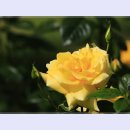 곡성-238 이미지