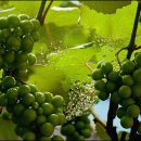 동강마을 이미지