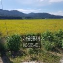 여주-1086 이미지