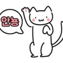 그루동물병원 이미지