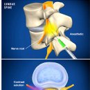 코끼리정형외과의원 이미지