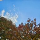 호숫가의 하얀집 이미지