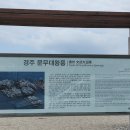 나아 Daum카페