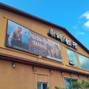 신재로 | [내돈내산] 영주 축제 후 아이랑 맛집! 영주 약선당 솔직 후기!