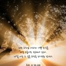 우매목장 Daum카페