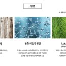인셀덤그린대리점