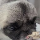 씽씽 동물의료센터 이미지