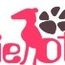 치즈 애견유치원&애견호텔 이미지