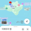 데시마 섬에서 테시마 미술관까지 이동 후기 (셔틀버스, 자전거)