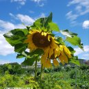 다복행정사사무소 이미지