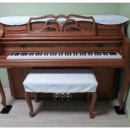 채은피아노 이미지