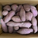 은골농장 이미지