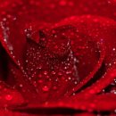 명행정사 이미지