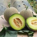 대평2구 이미지