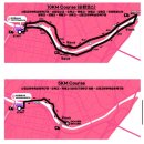 [마라톤] 서울 벚꽃 맛집 안양천 2026 서울 봄꽃레이스 10km 완주 후기 🏃🏻‍♀️🌸