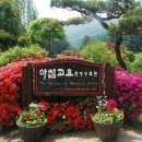 청사랑약국 이미지