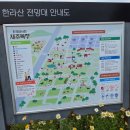 한국마사회 제주육성목장 동물병원 | [제주 제주] 한국마사회 제주목장 - 초원의 말을 보며 잠시 휴식
