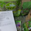 달나라 토끼농장 이미지