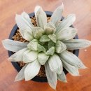 야로우체국 이미지