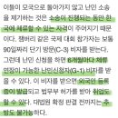 [일반] 난민신청자들 생계비 지원해주는 한국정부 이미지