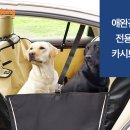멍나들이 이미지
