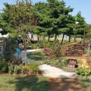 화랑유원지 이미지