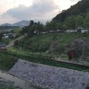 리도203호선 2 이미지