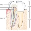 고운얼굴치과