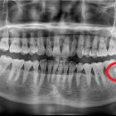 나우치과의원 이미지