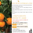 태평로537번길 이미지