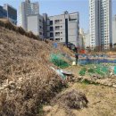 경북대학교 캠퍼스 이미지