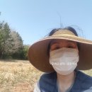 진교중앙길 이미지