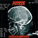 Accept - AtoZ 이미지