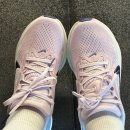 크림슨 퍼포먼스 | 경기도 나이키 페가수스 42 내돈내산 매장 구매 후기, 나이키 페가수스42 사이즈 추천, 초보 러닝화...