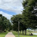 영신자전거 이미지