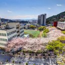 동아대학교 이미지