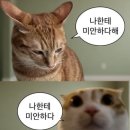 아이슬란드 패키지 교원투어 2일차: 골든서클 (게이시르, 굴포스, 싱벨리어 국립공원), 2월 오로라 후기