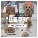 슈슈 | [대전 강아지케이크] “프롬쿠키” 당일 픽업 가능한 24시 맛집, 슈슈 생파 후기! 🐶🎂