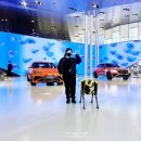 현대모터스튜디오레스토랑 | 아이와 가볼만한곳 현대 모터스튜디오 고양 로보틱스 특별 전시 관람 후기