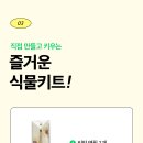 바디실크
