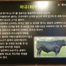 우아한 날