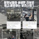 매일헬스트레이닝 이미지