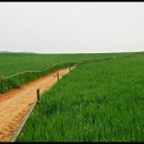 공음농장 이미지