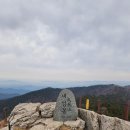 [BAC 100+] 사천 와룡산 새섬봉 산행