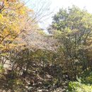 하양포교당 | 대웅전이 아름다운 경산의 팔공산 환성사 (경북 경산시 하양읍 사기리 150)