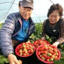 김현중농장 이미지