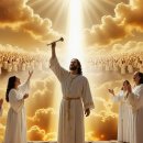 자인메드 이미지