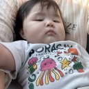 덤드림 송현점 이미지