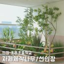 인천초은초등학교 이미지